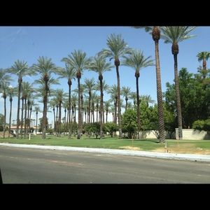 Meet your Posher, Elyse